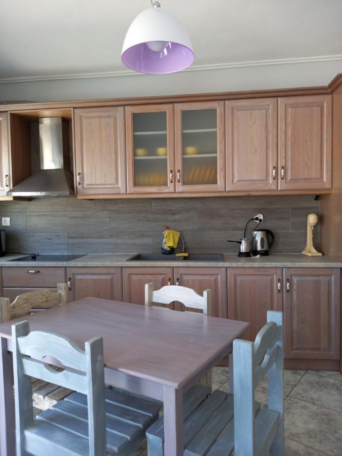 Apartment Flisvos House