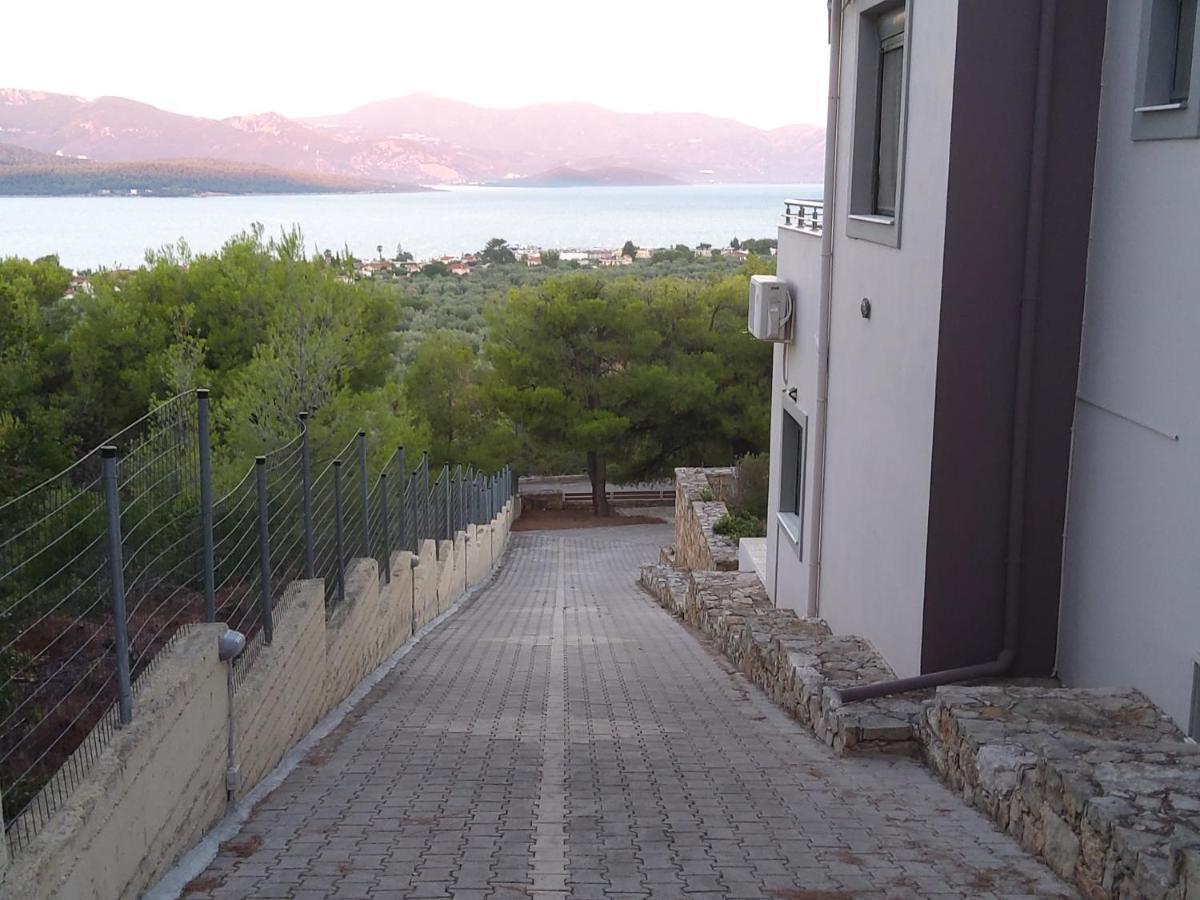 Villa Pines Sea View 170 Sqm In Theologos