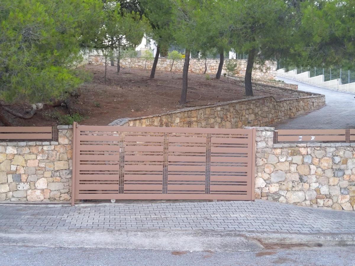 Pines Sea View 170 Sqm In Theologos * Theologos (Phthiotis)