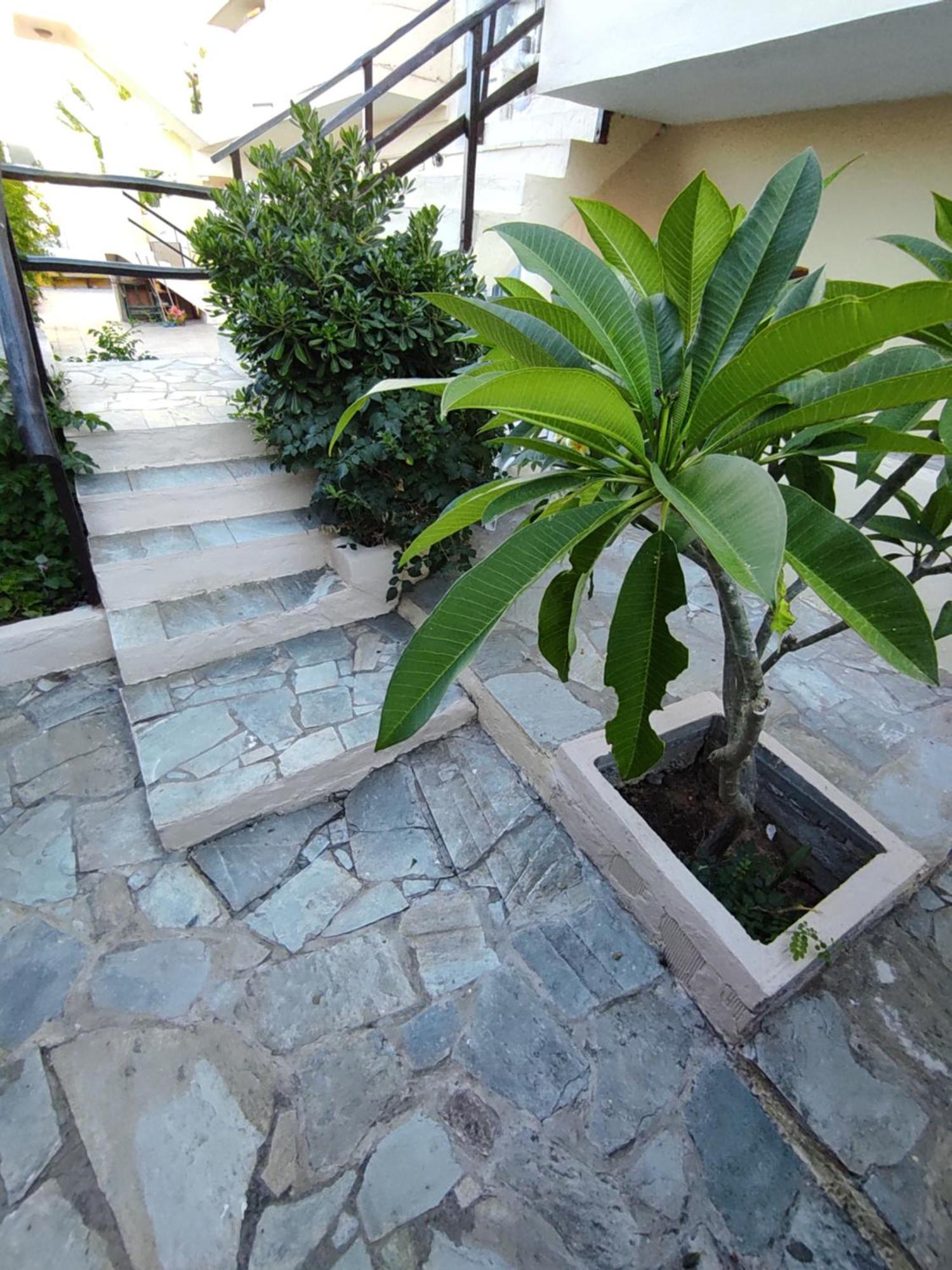 Apartment Dedalos N3 Sea View Apartment-30 Metres From The *