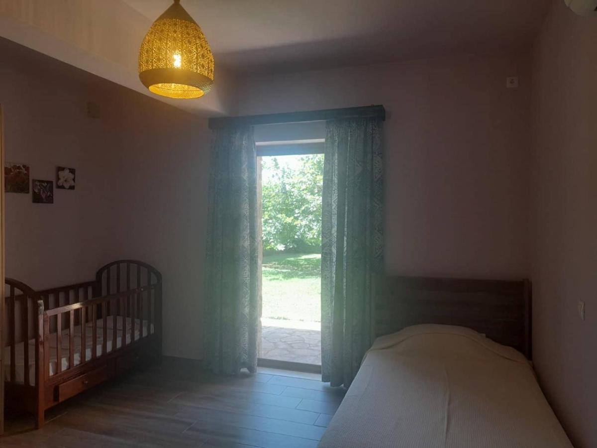 Platanus Gardenhouse *