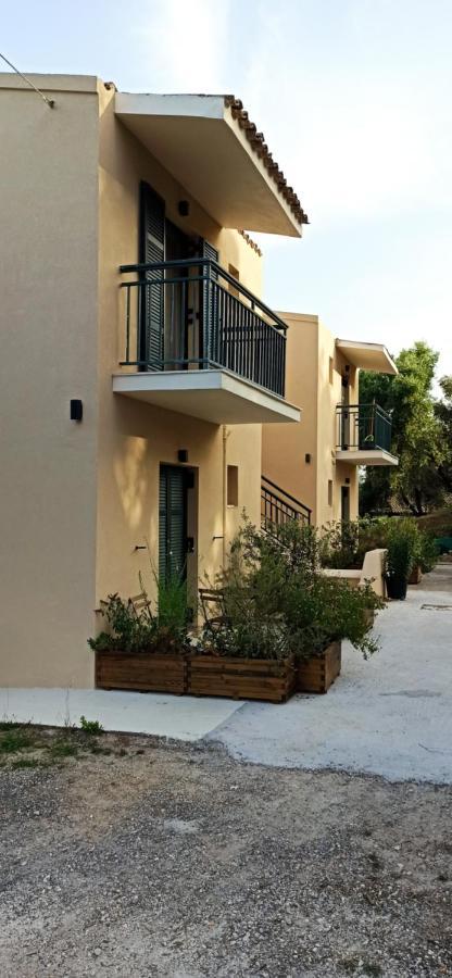Blue & , - Corfu 1&2-3&4 Dassia (Corfu)