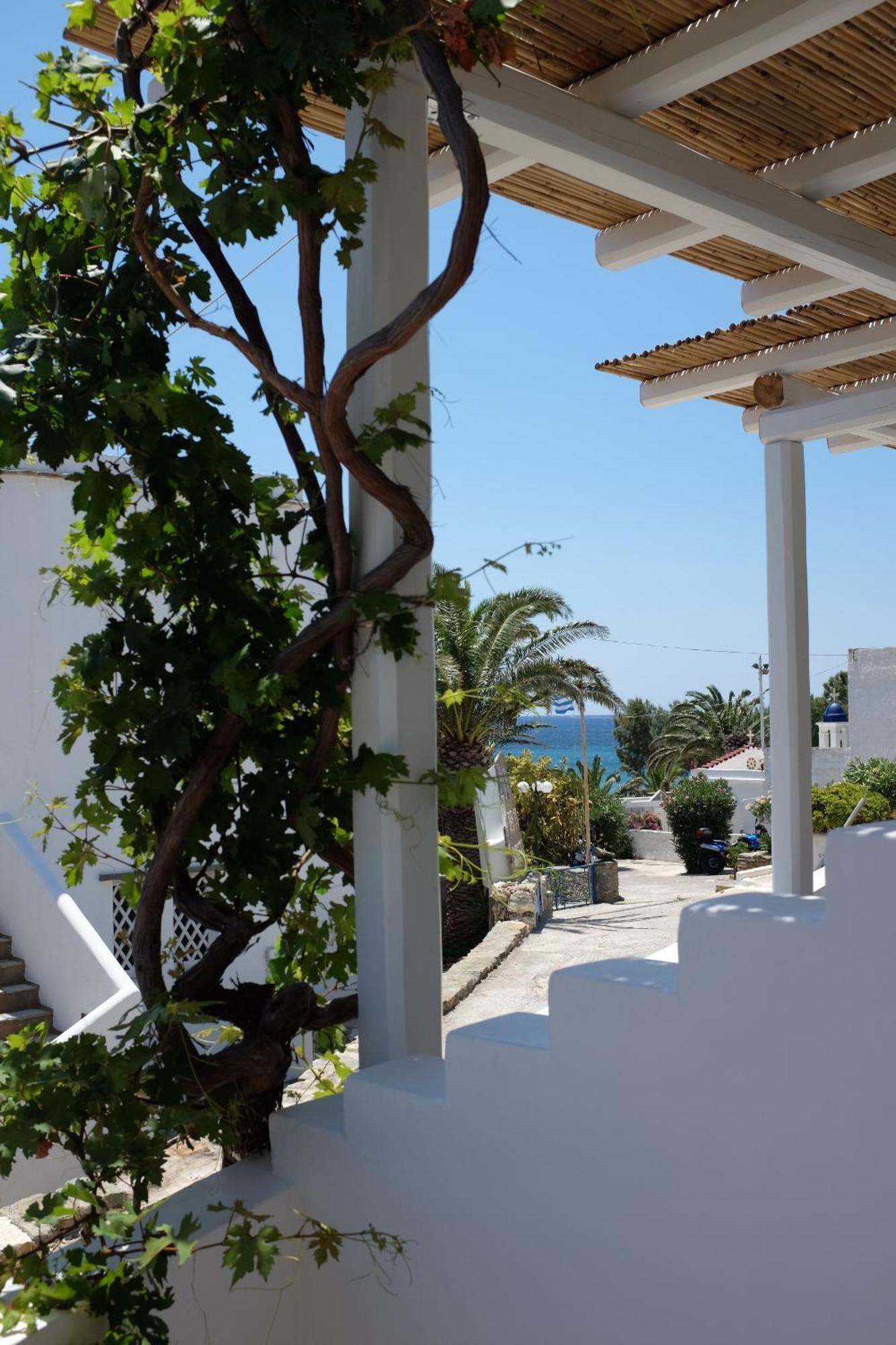 Ark Tinos *