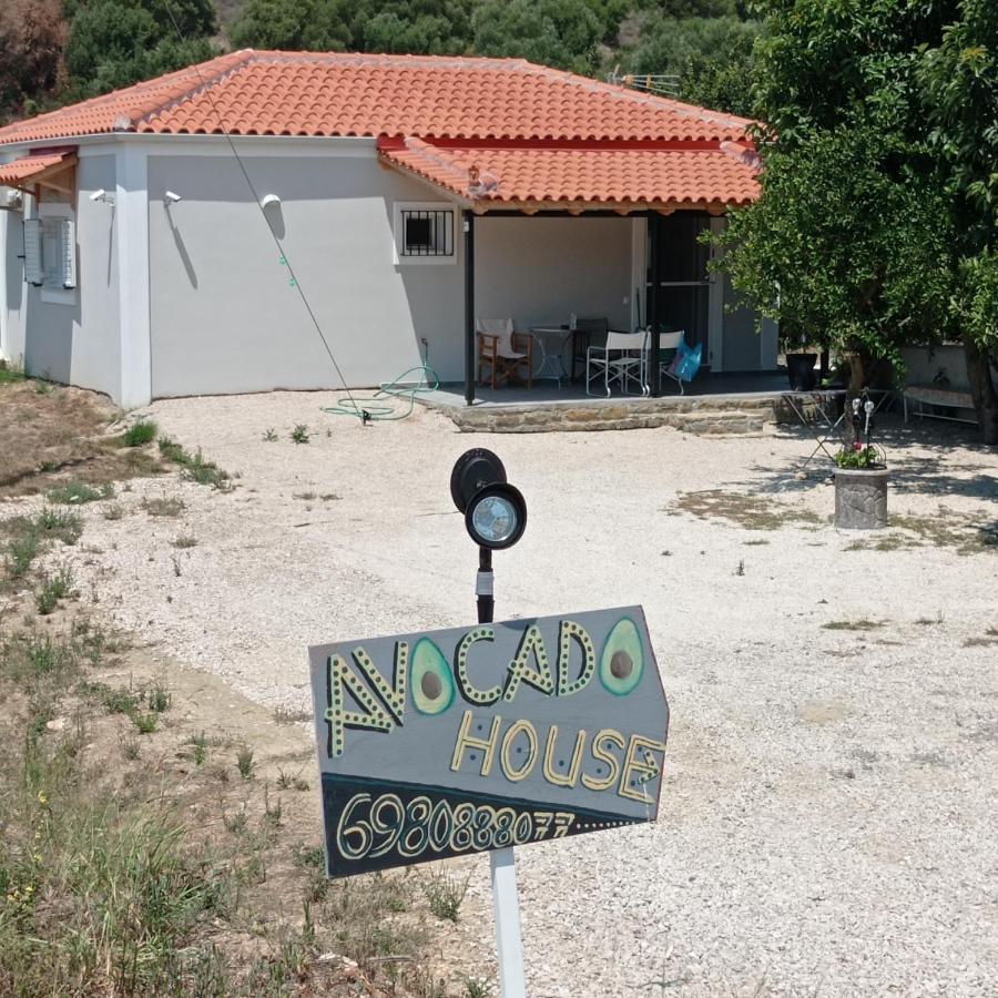 Avocado House Holiday home *