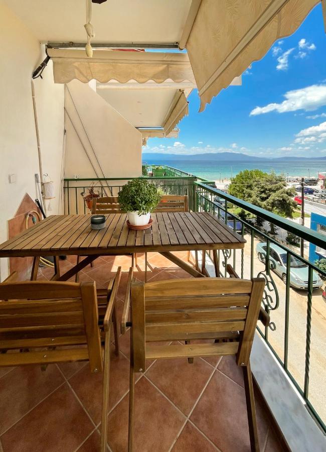 Olive House - Ofrinio * Orfanion