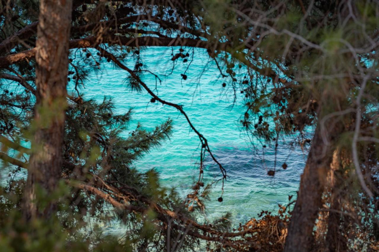 Blue Garden Samos *
