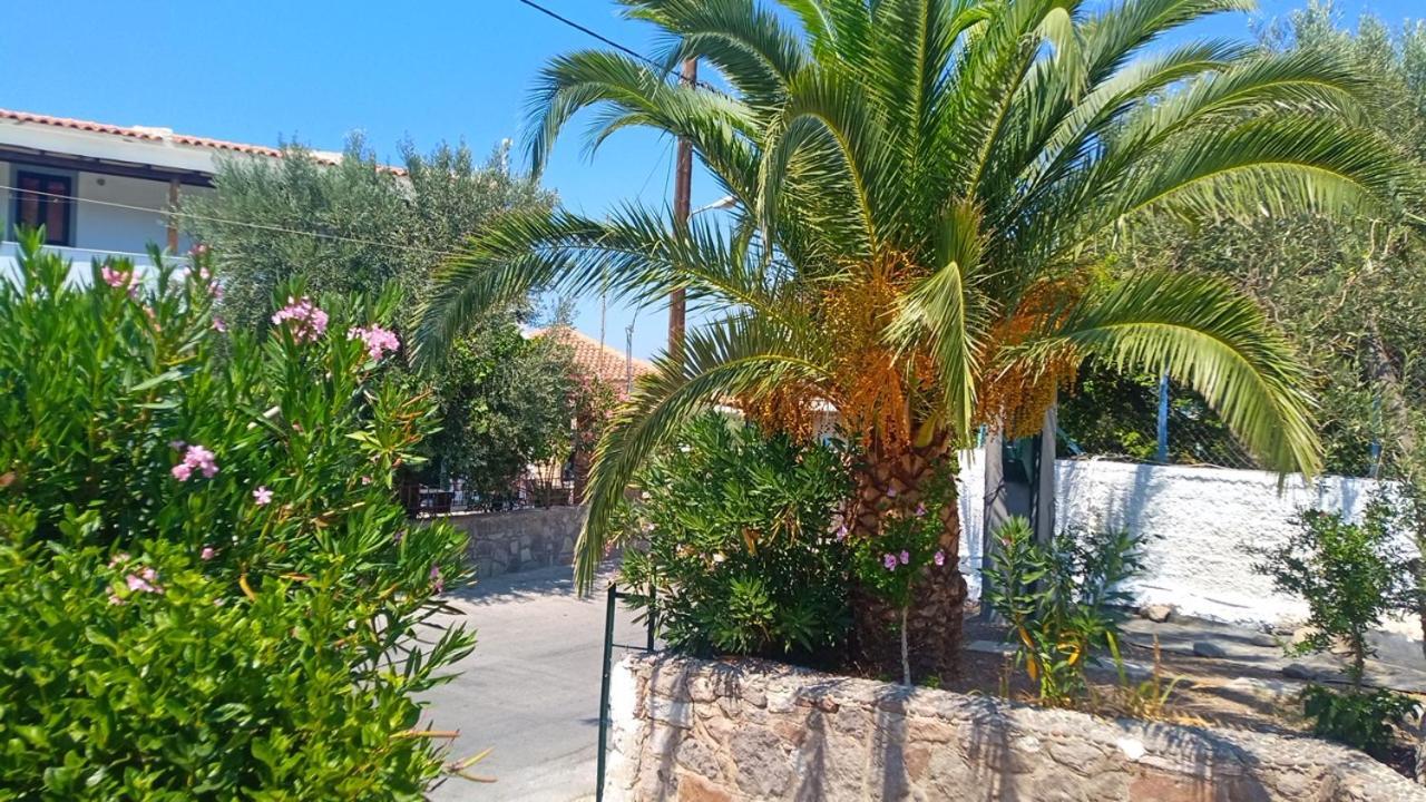 Aparthotel Anessis Cosmos 2*