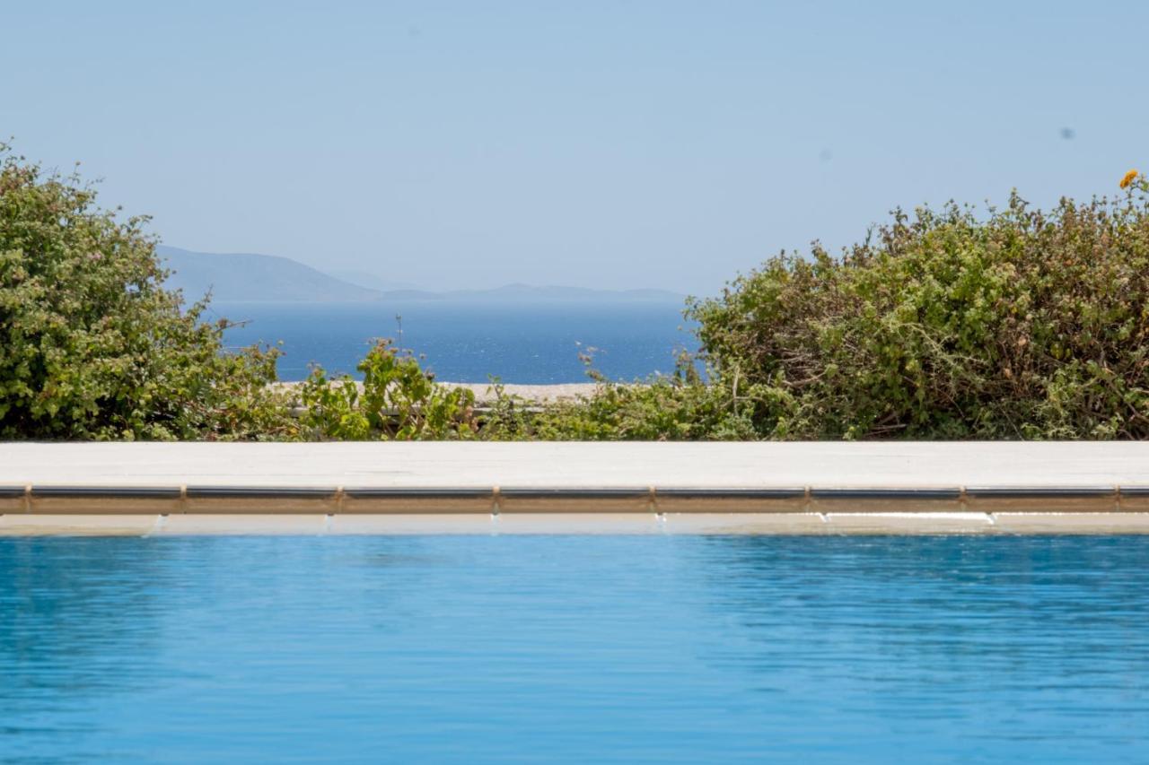 Francia With Seaview And Private Swimming Pool Chrisi Akti (Paros)
