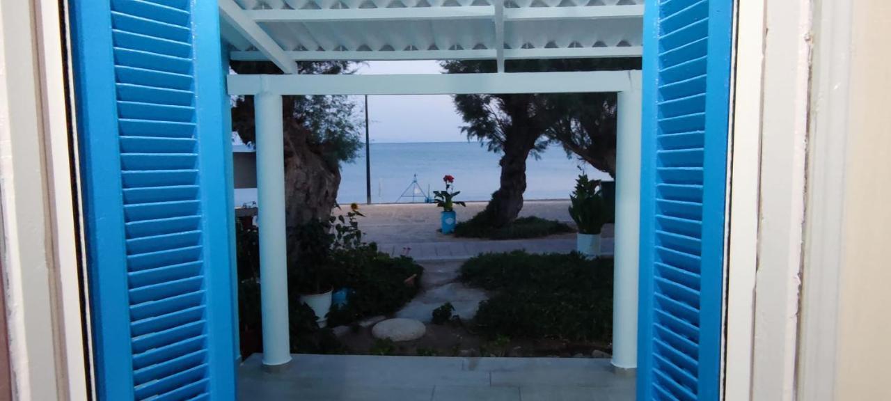 Apartment House Tavari