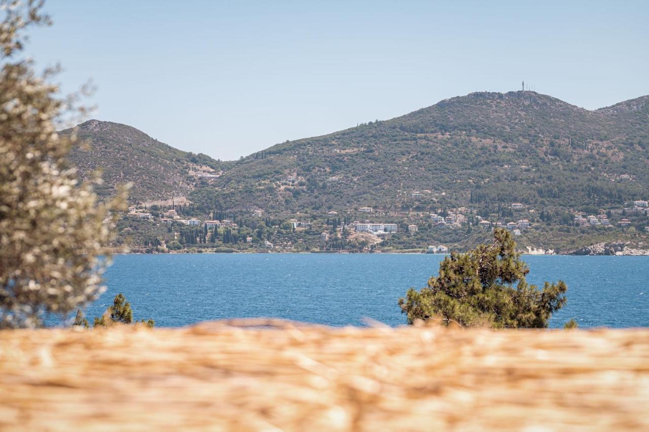 Blue Garden Samos Holiday home Floka (Samos)