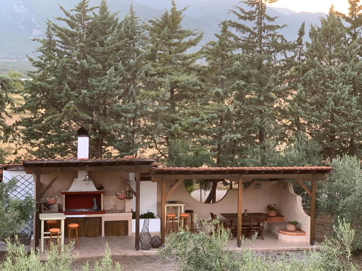 Zeusplace Olympus Olive 2 Holiday home *