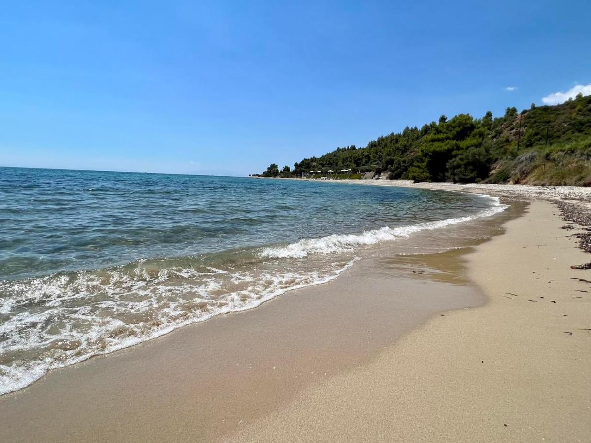 Dream Sea Front Summer Villa Agia Paraskevi (Kassandra)