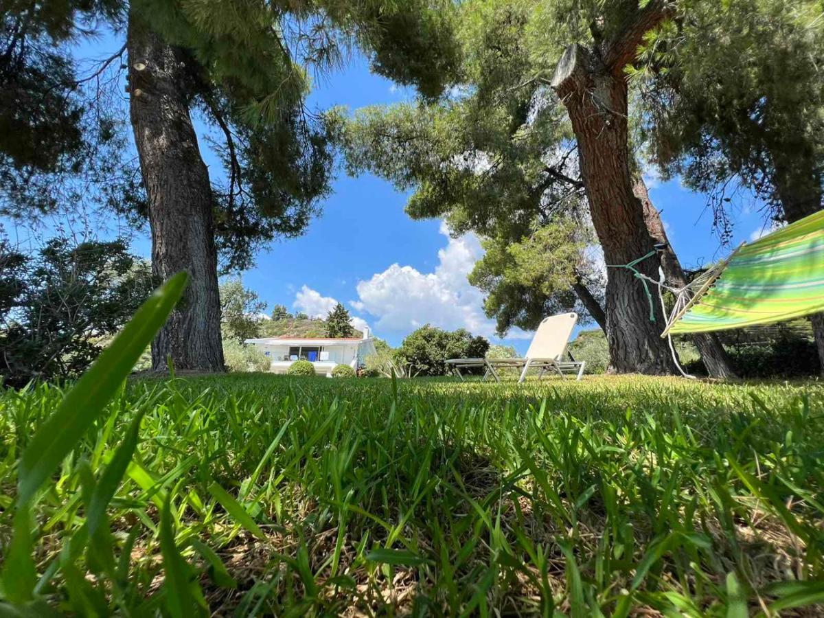 Villa Dream Sea Front Summer Agia Paraskevi (Kassandra)