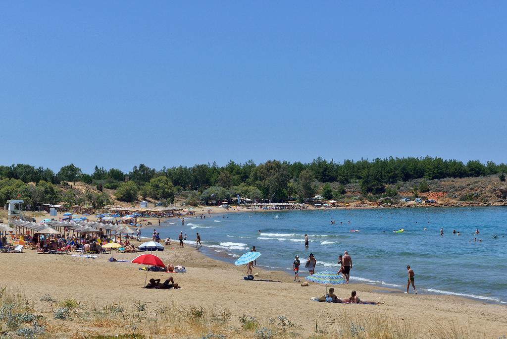 Anna's Sea House Near To A Sandy Beach! Holiday home
