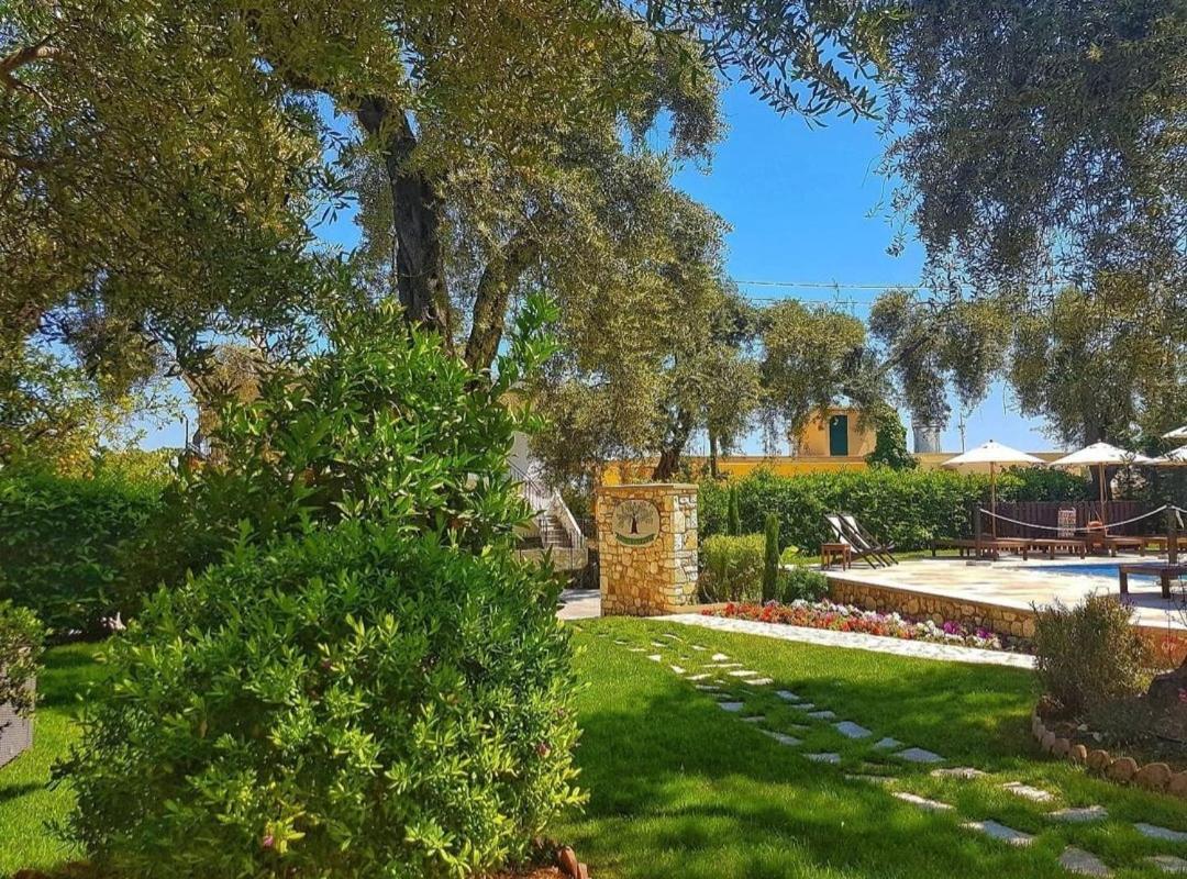 Guest house Vassilis Anthousa (Epirus)
