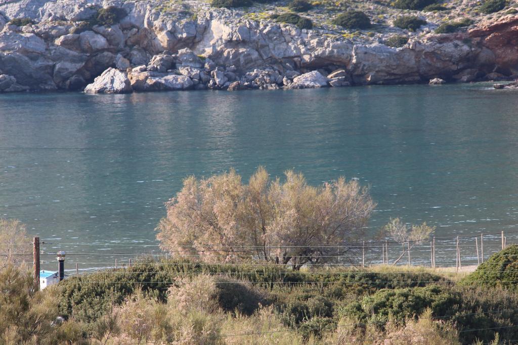 Thalassia Thea Apartment