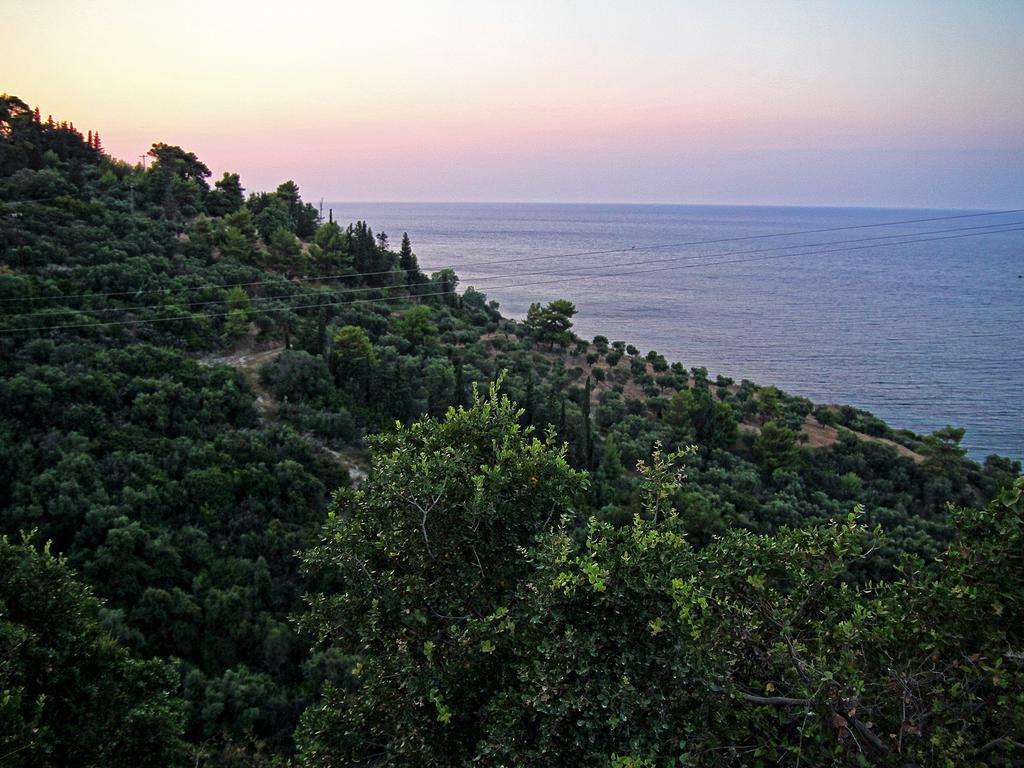 Contessa Aparthotel Vasilikos (Zakynthos)