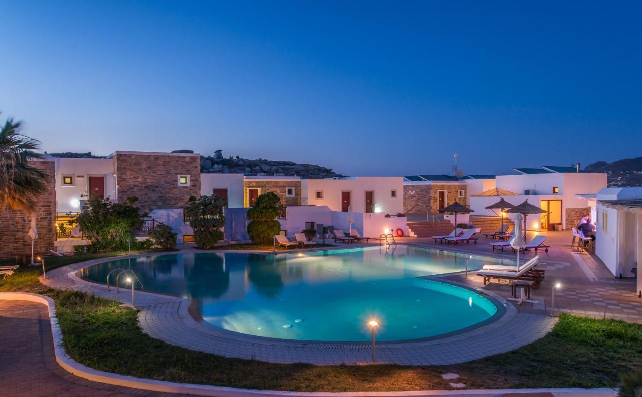 Hotel Naxos Palace 4*