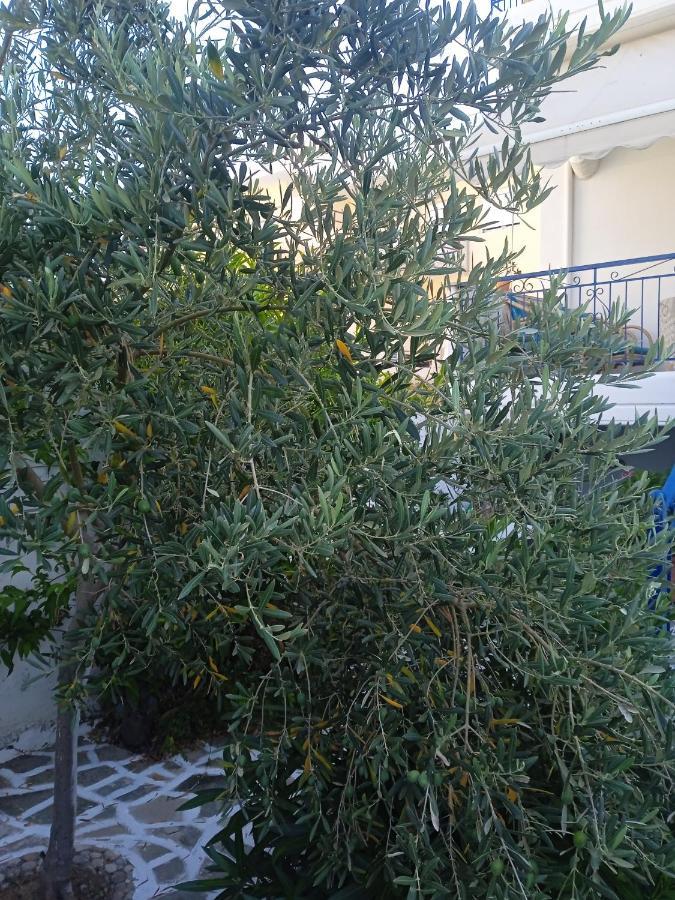 Apartment Seethesea Kanali Preveza
