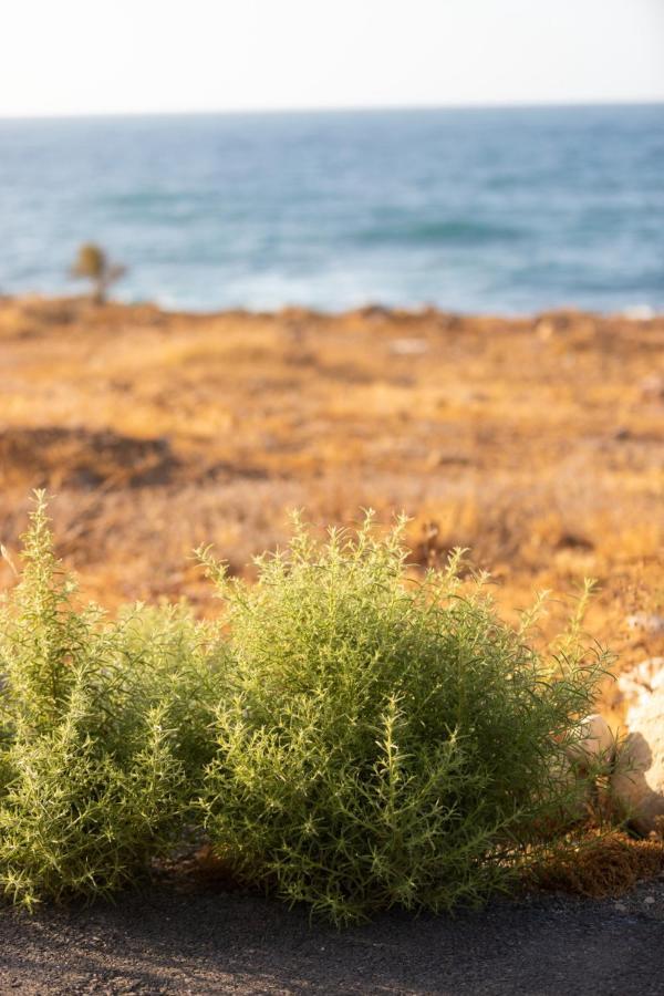 Lucia Beachfront Panormos (Crete)