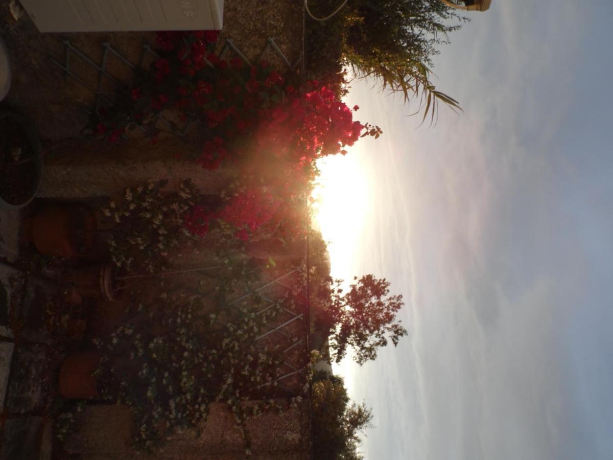 Theni Olive Grove Villa
