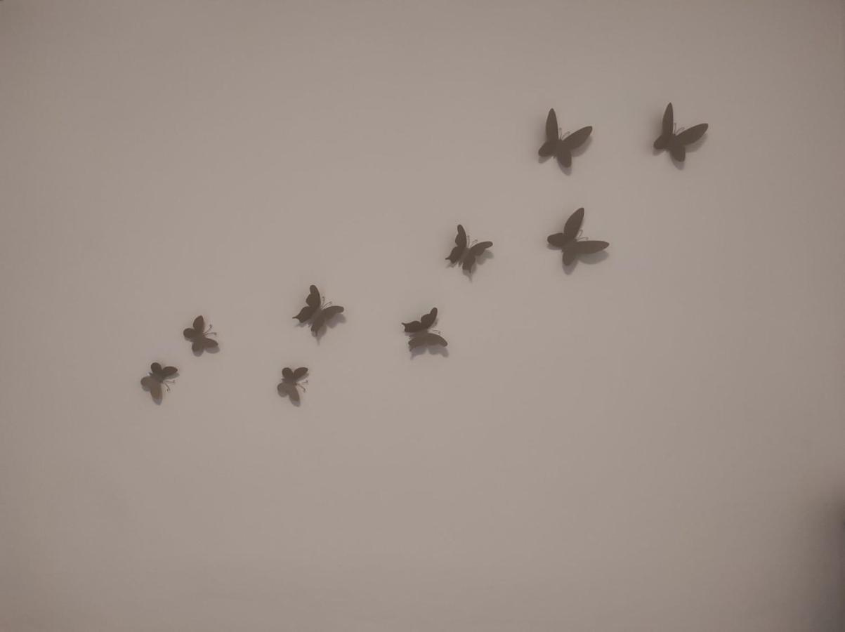 Spot *