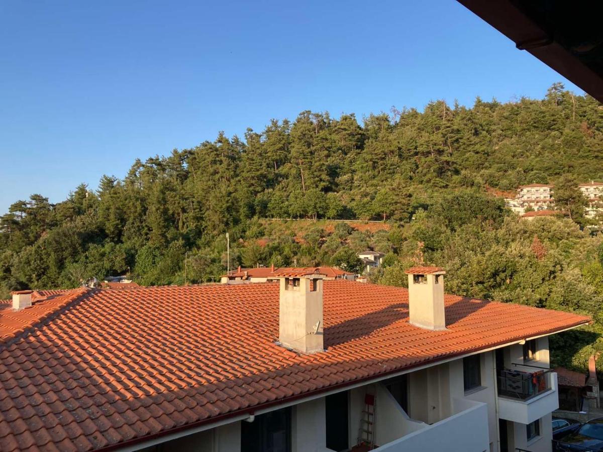 Villa Enjoy Golden Skala Potamia (Thasos)
