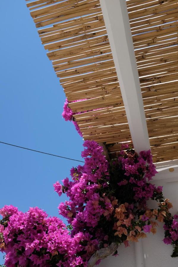 Apartment Ark Tinos *