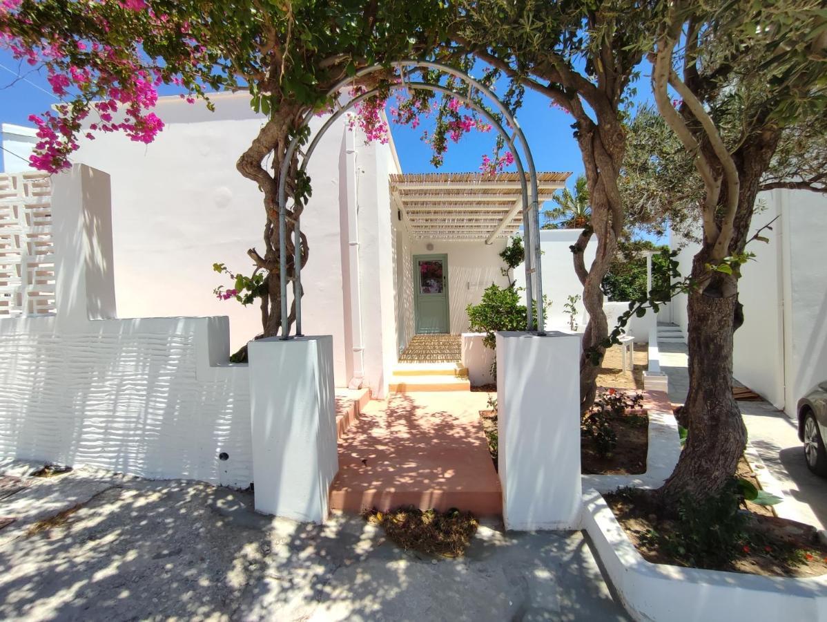 Ark Tinos Apartment *