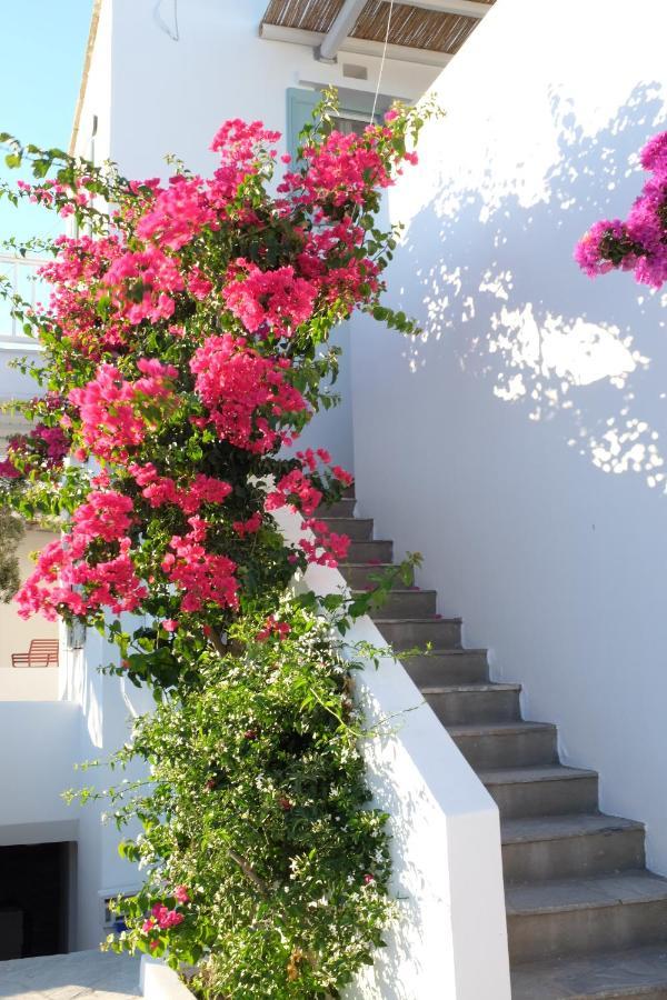 Ark Tinos Agios Ioannis (Tinos)