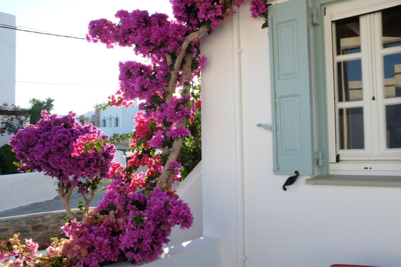 Ark Tinos Apartment