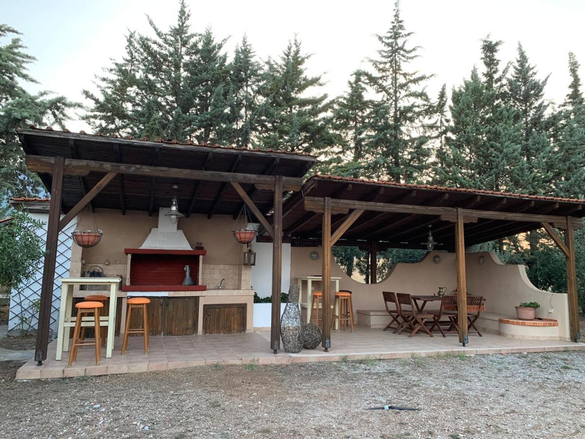 Holiday home Zeusplace Olympus Olive 1 Leptokarya (Pieria)