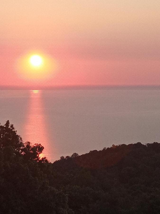 Villa Sklithro In The Heart Of The Forest With Magnificent View Of The Sea Just 10 Minutes From It Agiakampos (Volos)