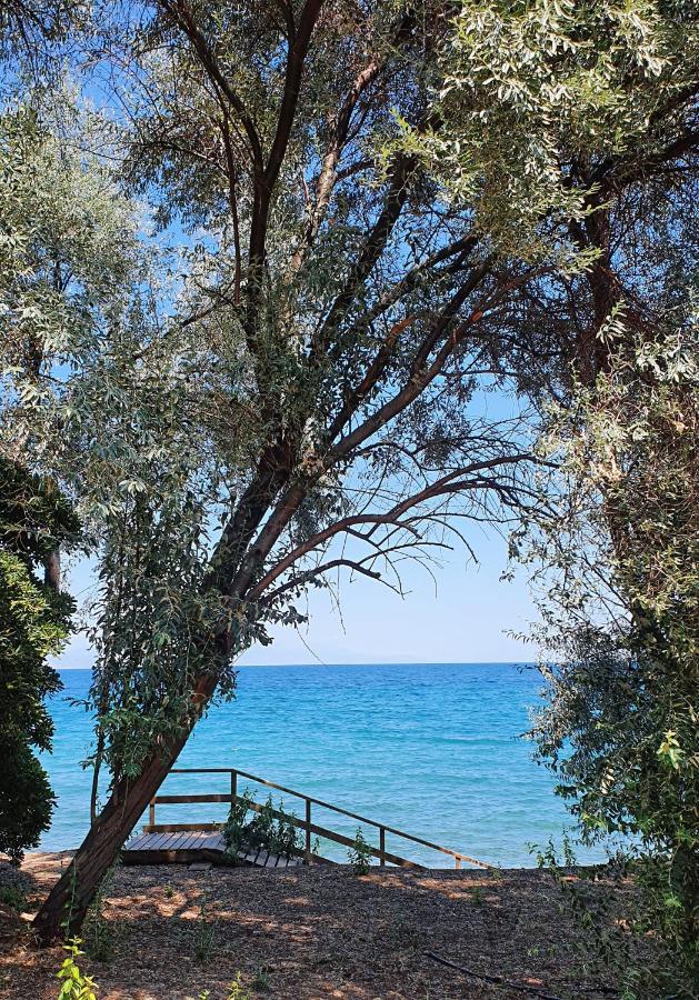 Holiday home Al-ari