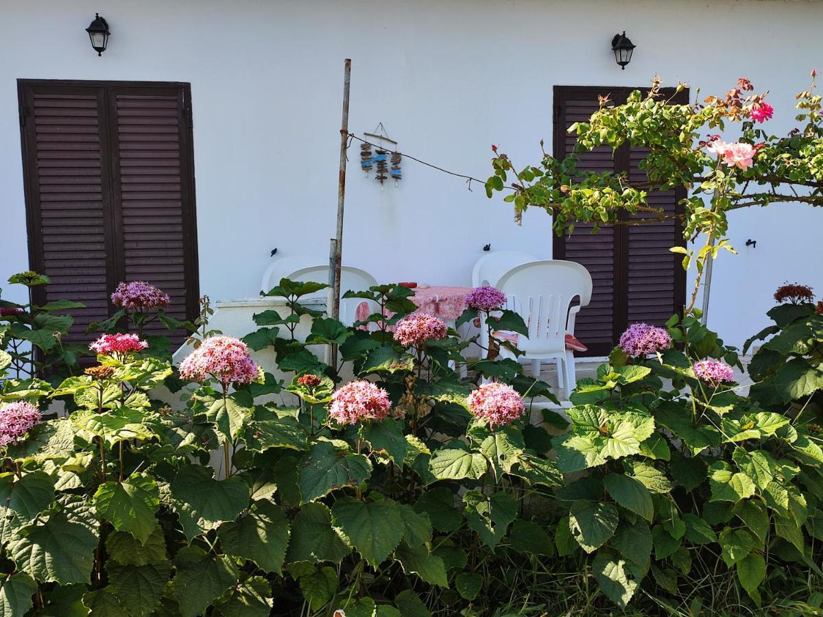 Apartment Eftichia