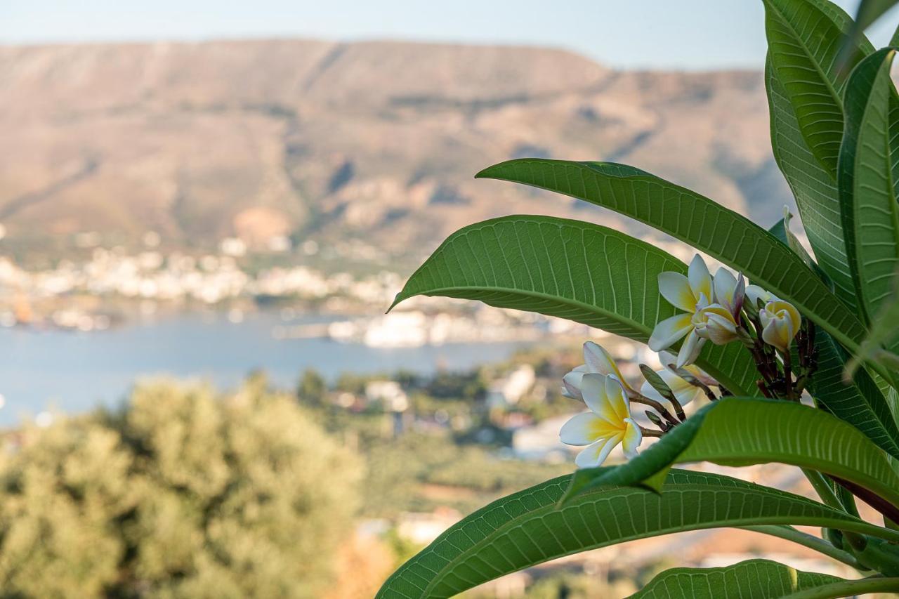 Mondethea Vantage Point Holiday home Chania (Crete)