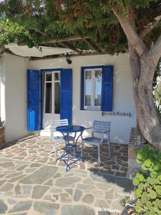 Guest house Le Grand Bleu