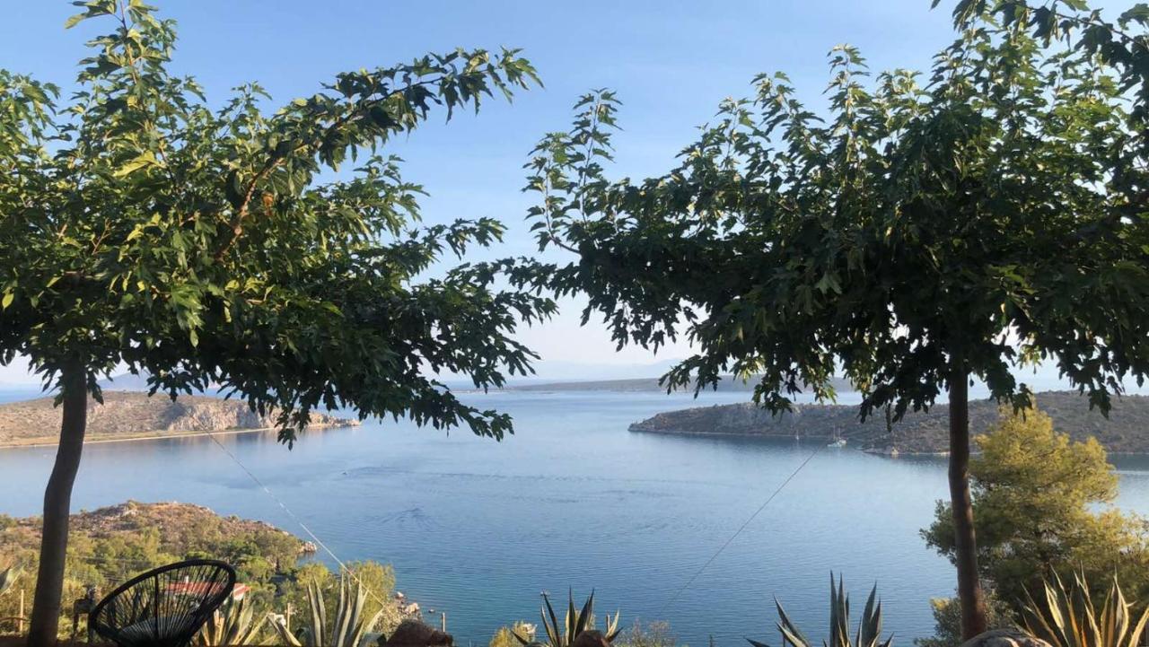 Avatonblue Nafplio *