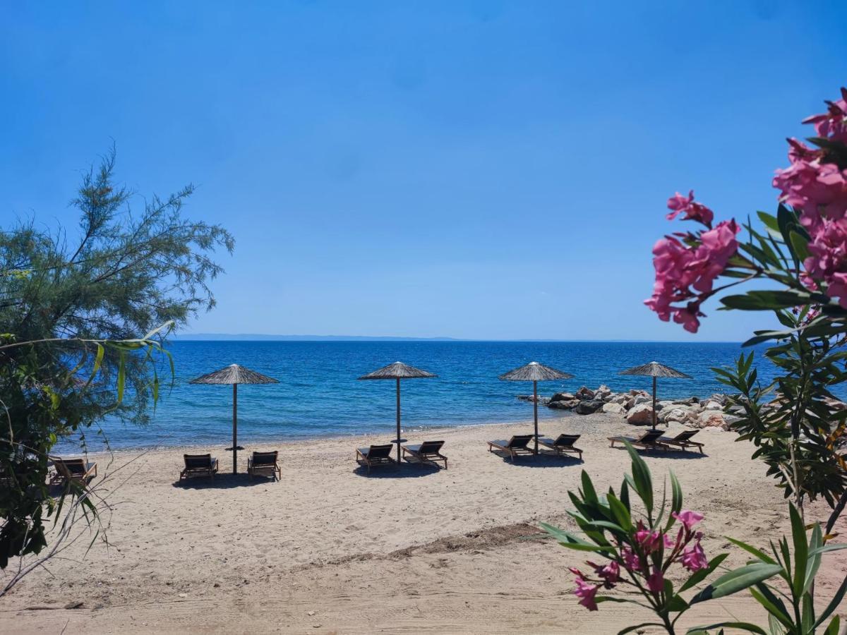 Mina's House Beachfront * Nikiti (Sithonia)