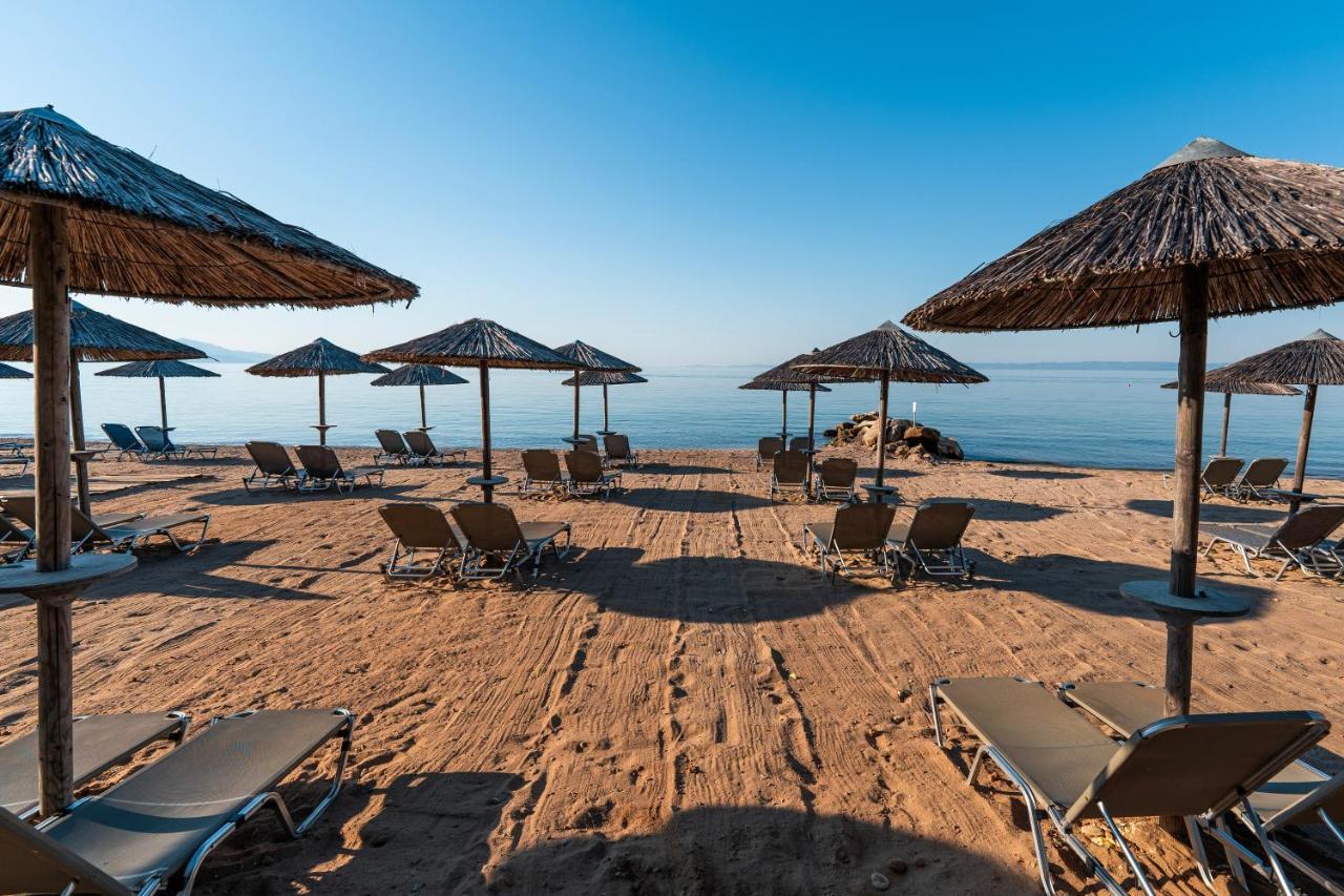 Resort Blue Dolphin