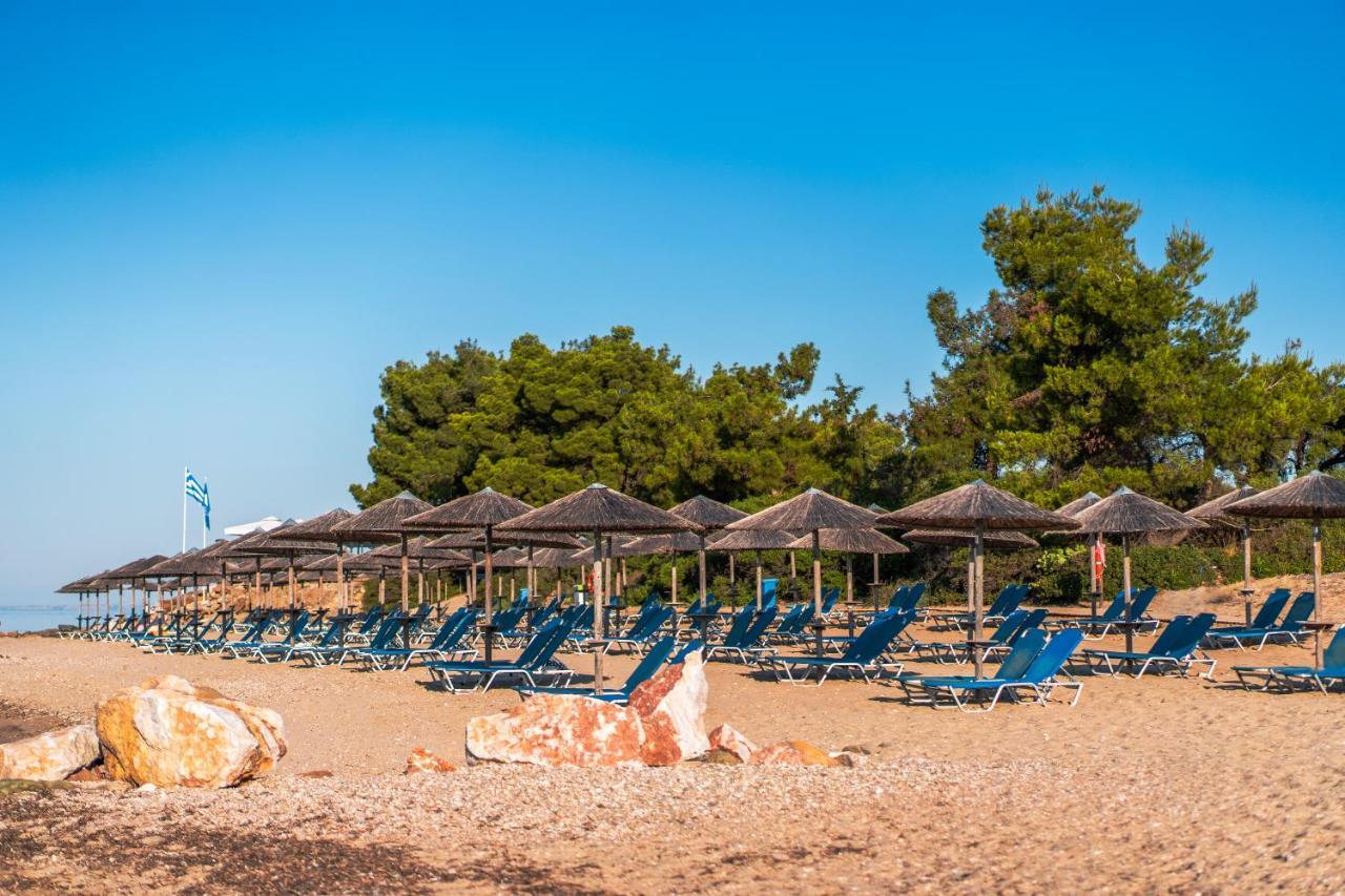 Blue Dolphin Resort Metamorfosi (Sithonia)