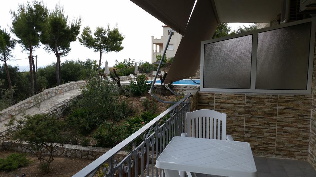 Gorgona Apartment