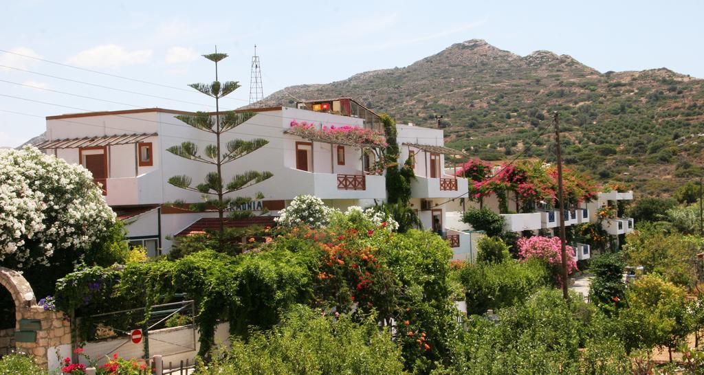 Hotel Armonia 3*