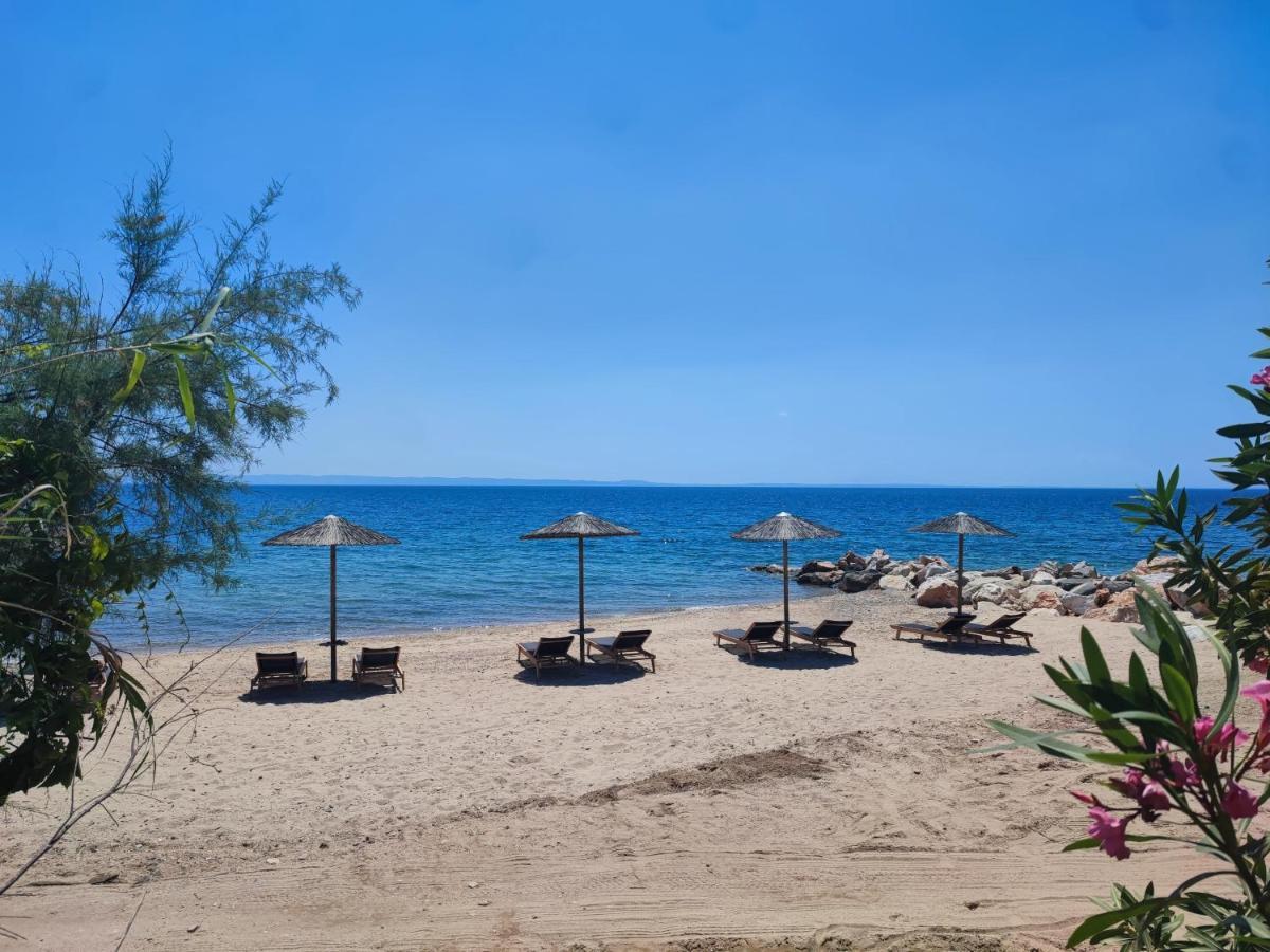Mina's House Beachfront * Nikiti (Sithonia)
