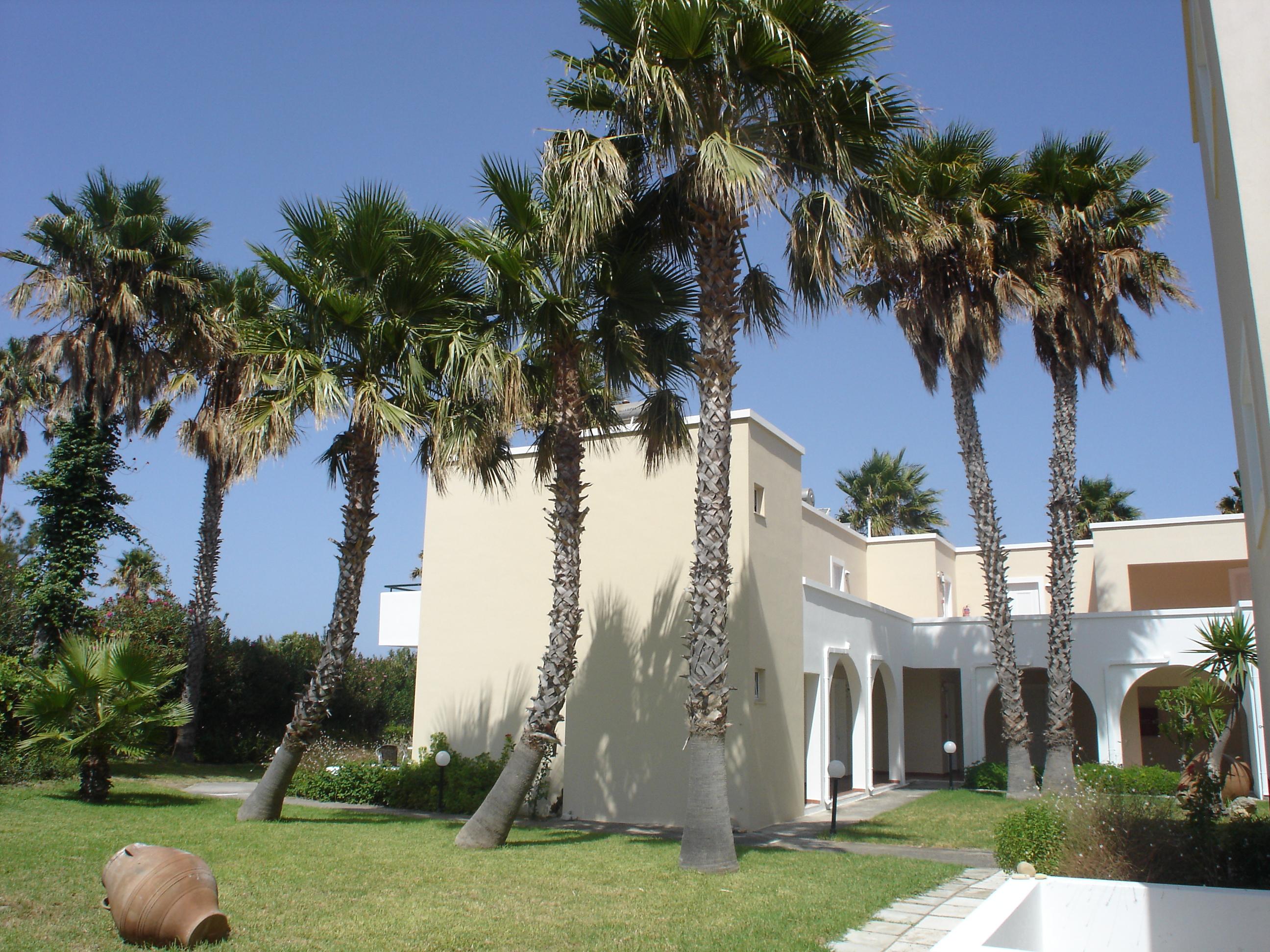 Andromeda Hotel 3*
