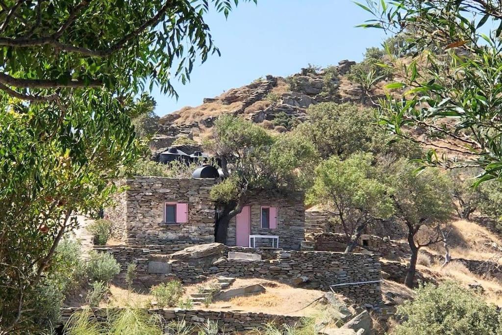Owl's Nest/the Pink * Otzias