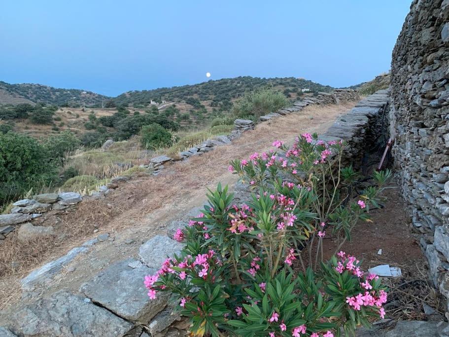 Owl's Nest/the Pink *