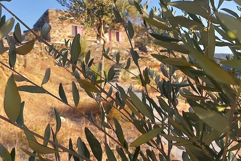 Owl's Nest/the Pink Holiday home Otzias