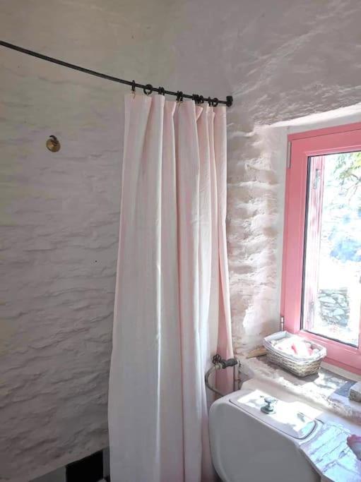 Owl's Nest/the Pink