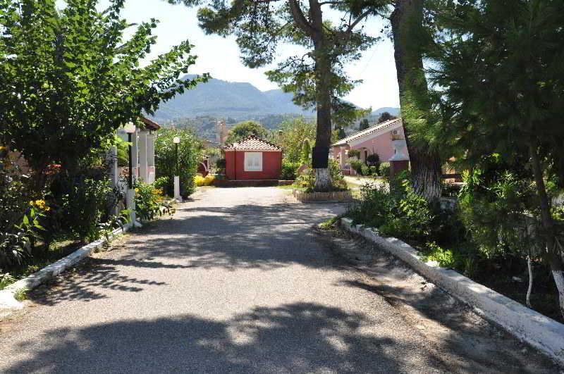 Tassos *